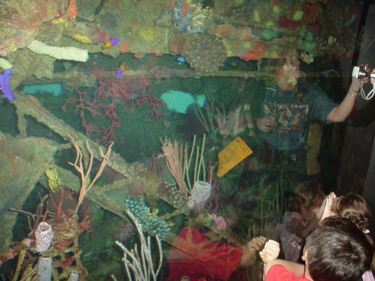 National Aquarium in Baltimore January 2006