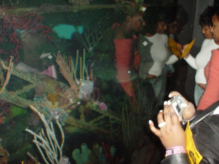 National Aquarium in Baltimore January 2006