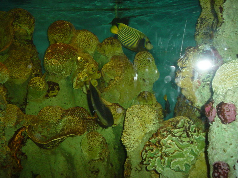 National Aquarium in Baltimore January 2006