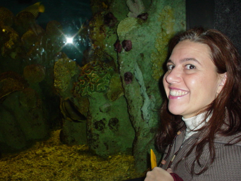 National Aquarium in Baltimore January 2006