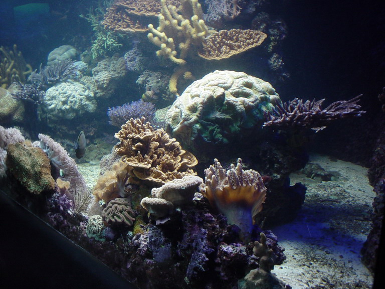 National Aquarium in Baltimore January 2006