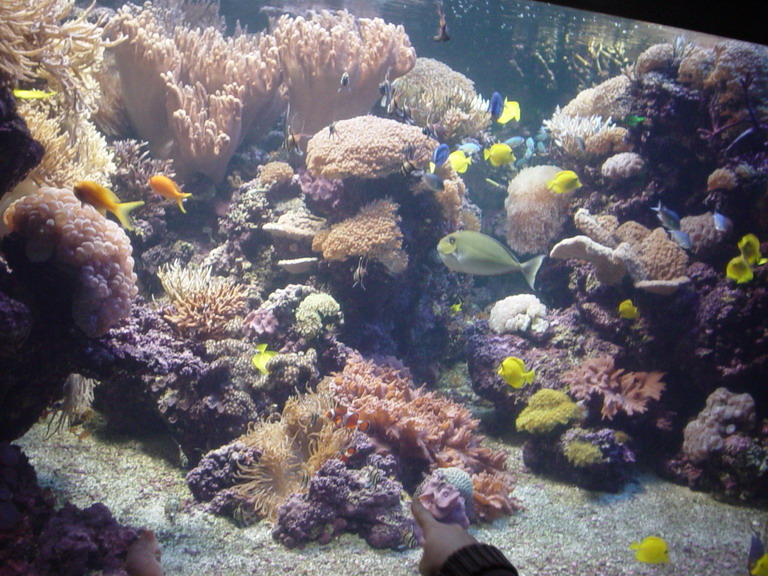 National Aquarium in Baltimore January 2006