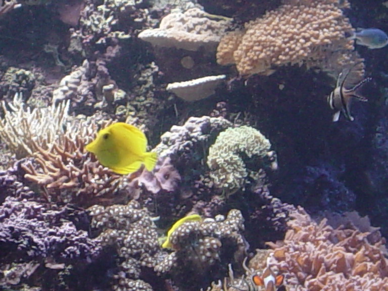 National Aquarium in Baltimore January 2006