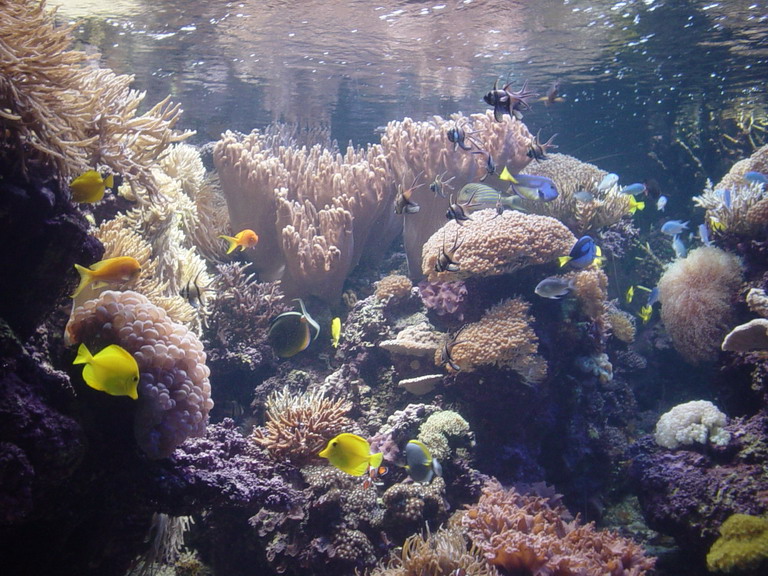 National Aquarium in Baltimore January 2006