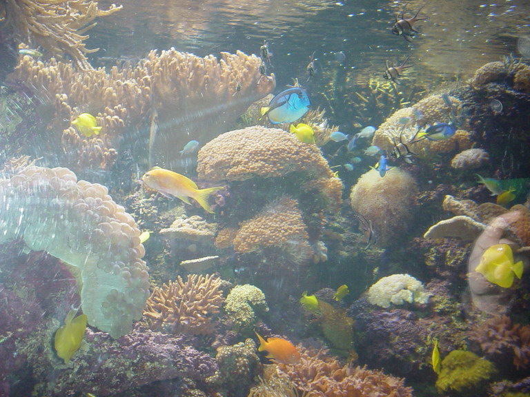 National Aquarium in Baltimore January 2006