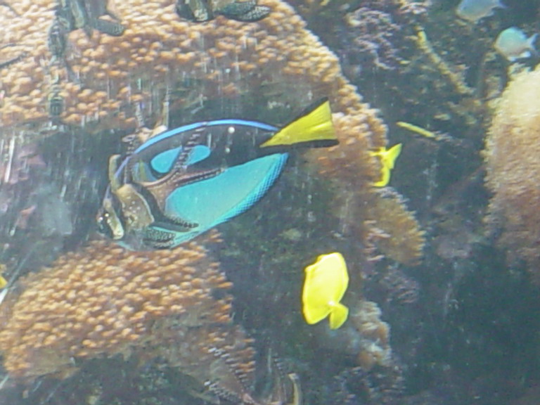National Aquarium in Baltimore January 2006