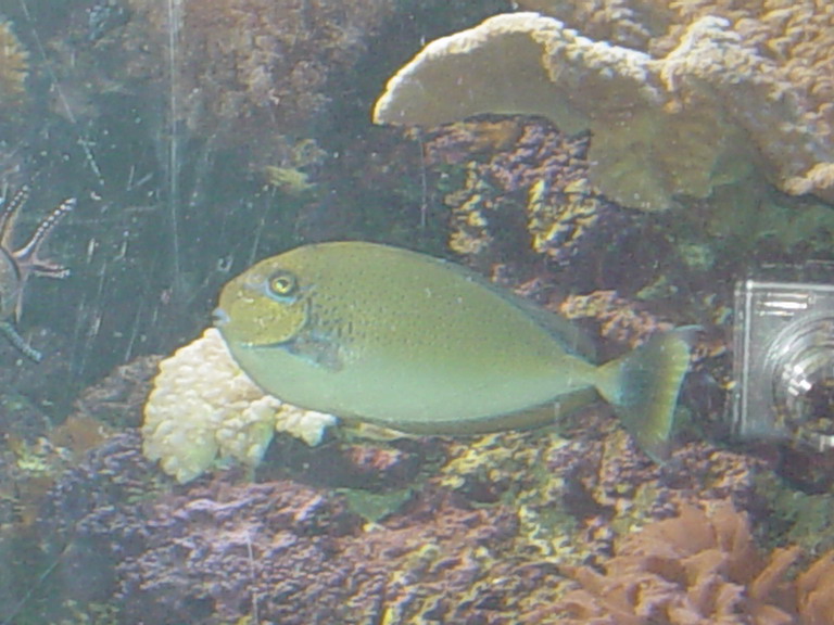 National Aquarium in Baltimore January 2006