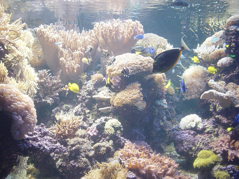 National Aquarium in Baltimore January 2006