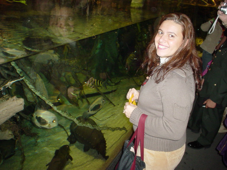 National Aquarium in Baltimore January 2006