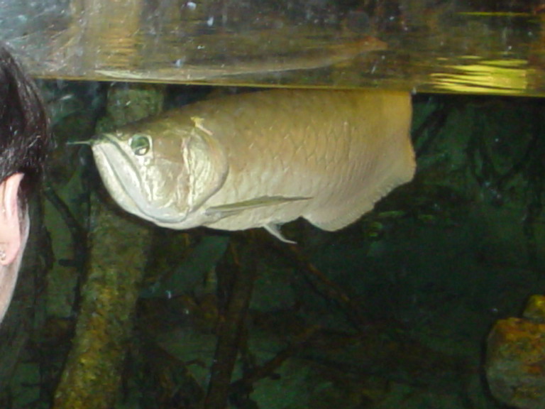 National Aquarium in Baltimore January 2006