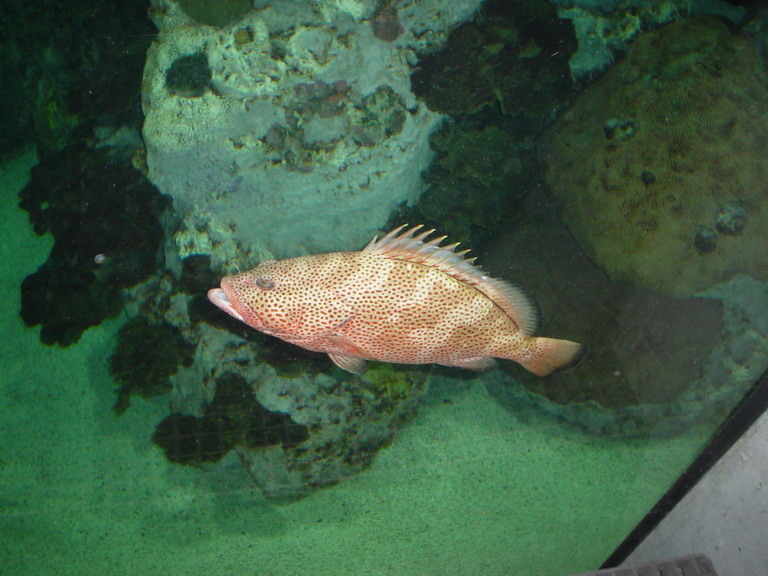 National Aquarium in Baltimore January 2006