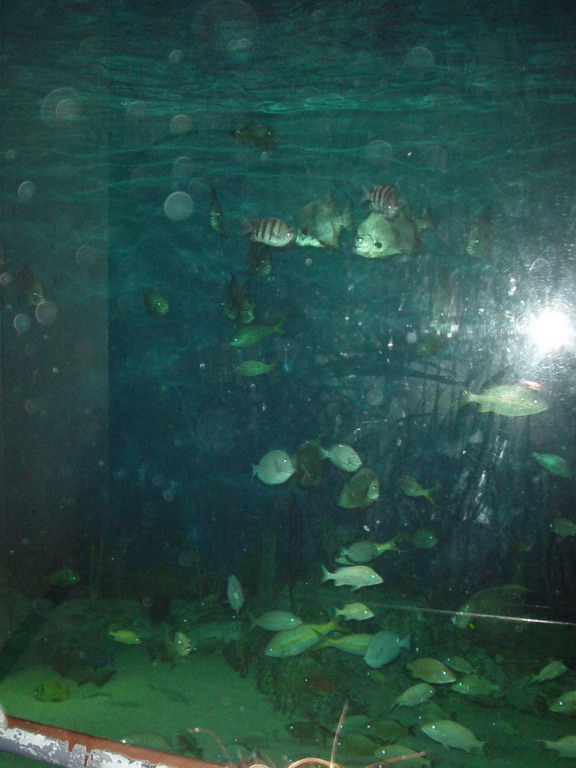 National Aquarium in Baltimore January 2006