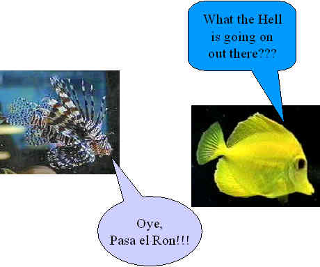 My 25th. B-Day Party!!!