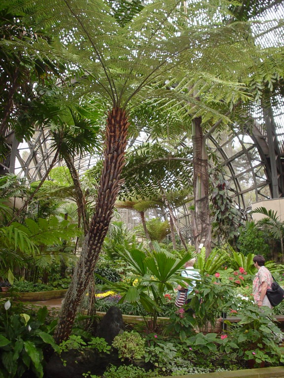 San Diego September 2006