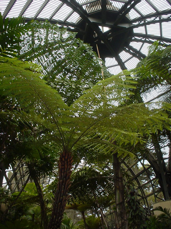 San Diego September 2006