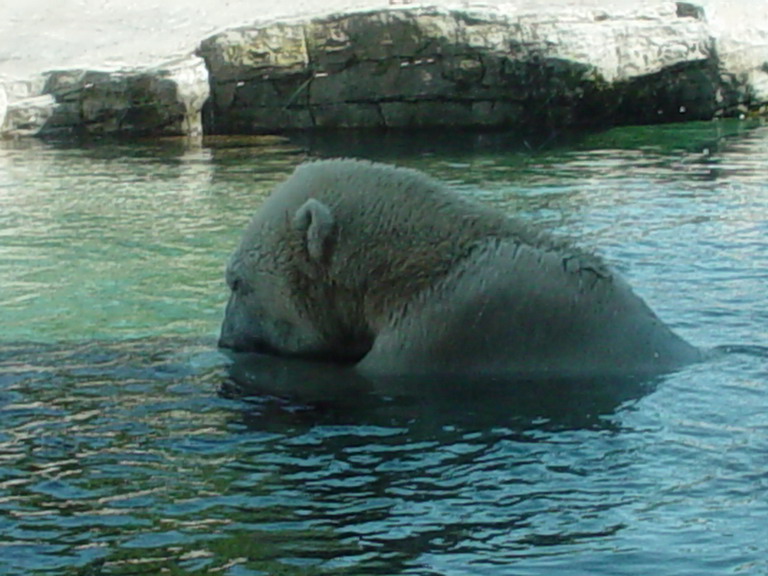 San Diego September 2006