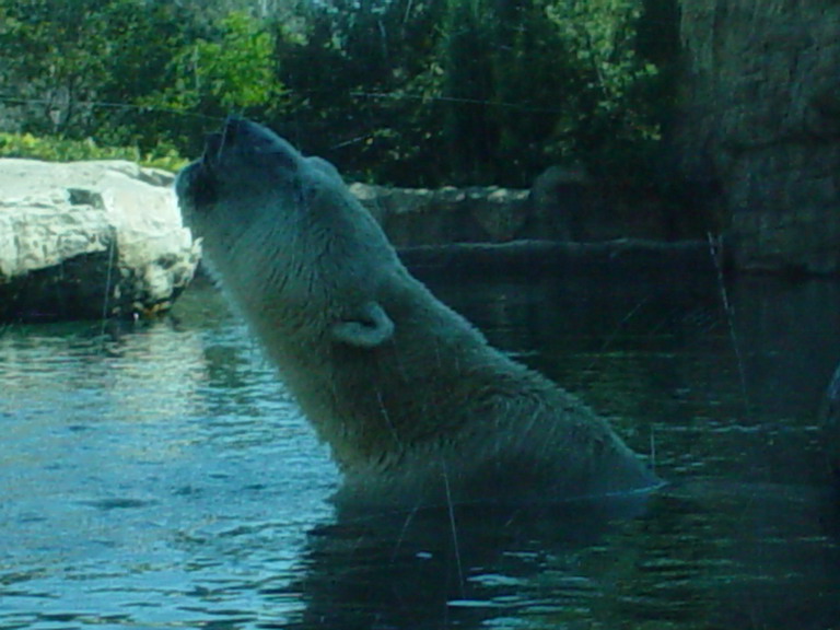 San Diego September 2006