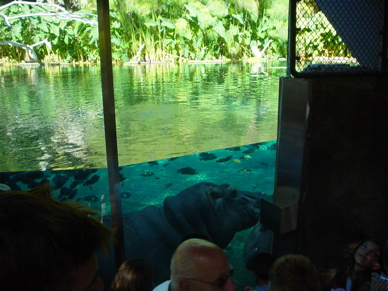 San Diego September 2006