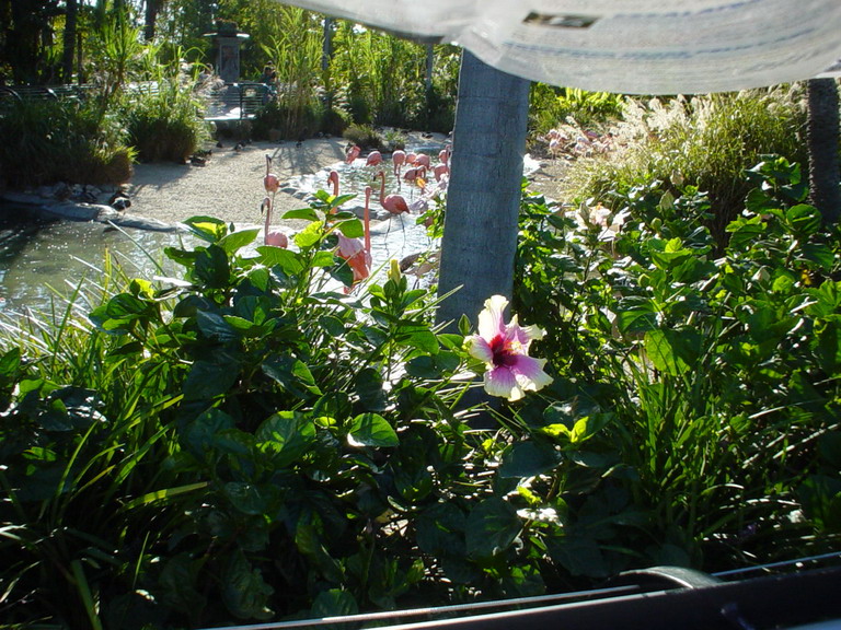 San Diego September 2006