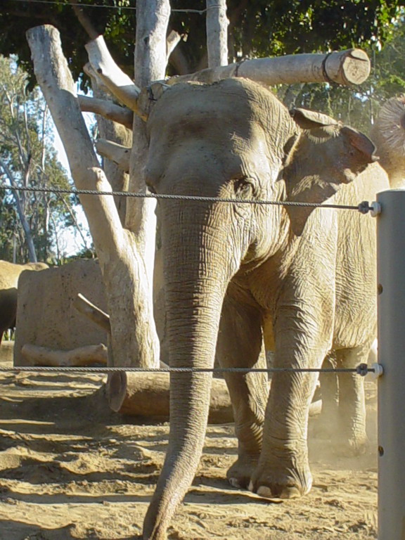 San Diego September 2006