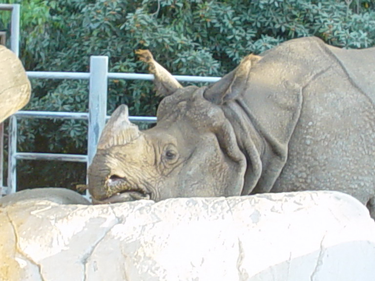 San Diego September 2006