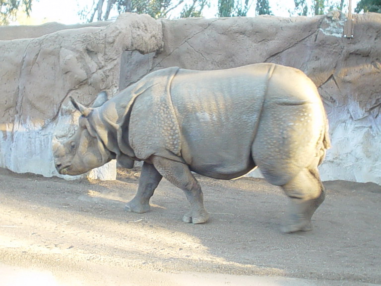 San Diego September 2006