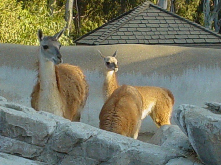 San Diego September 2006