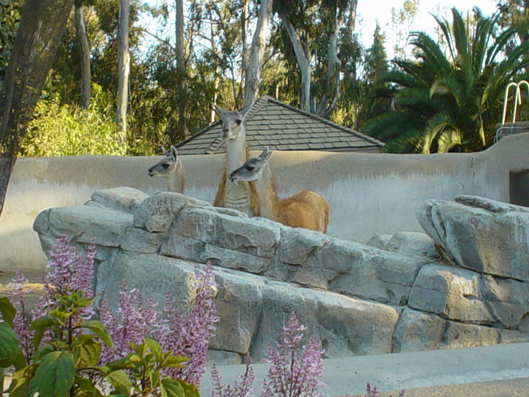 San Diego September 2006