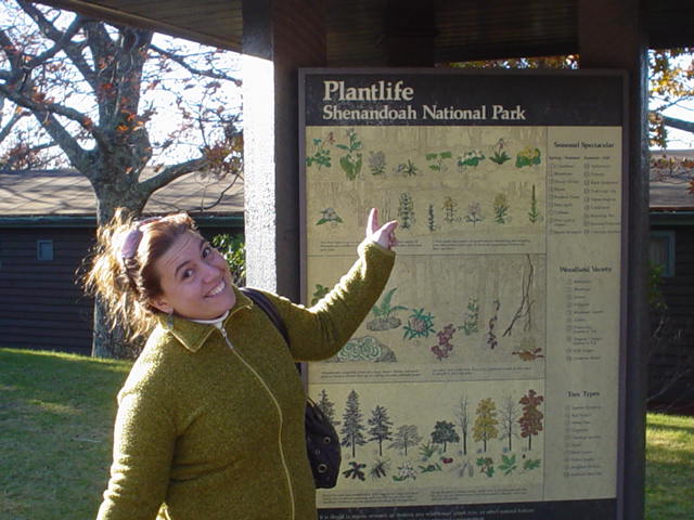 Skyline Drive & Luray Caverns October 2006