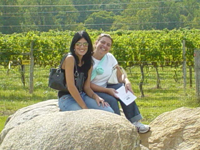 Wineries Virginia September 2006