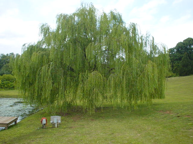 Wineries Virginia September 2006