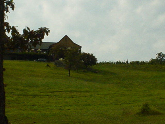 Wineries Virginia September 2006