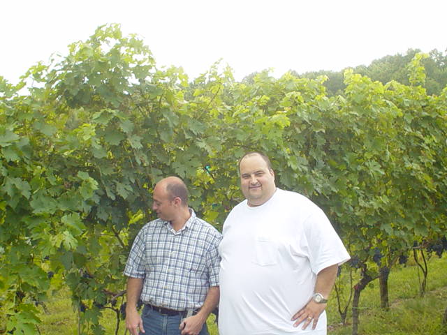 Wineries Virginia September 2006