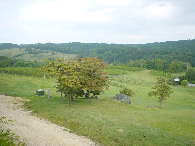 Wineries Virginia September 2006