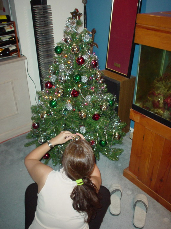 X-Mas 2005