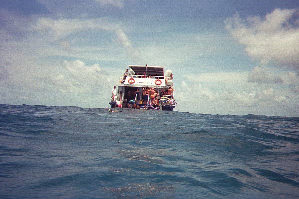 The Great Barrier Reef