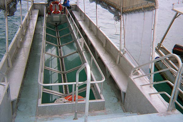 The Great Barrier Reef